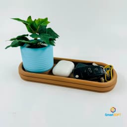 Modupot * Suculent Organizer 3d model