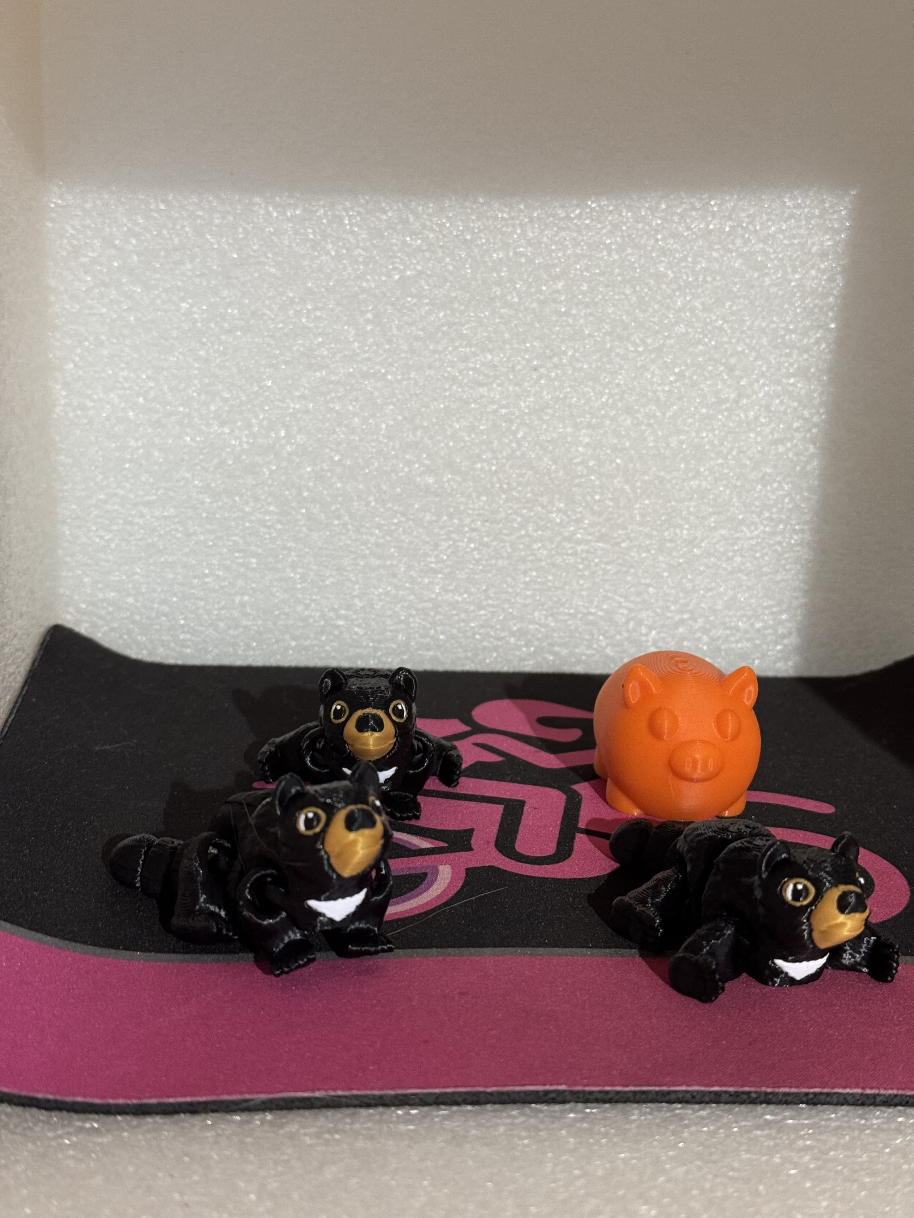George enjoying a trip down under with some Tasmanian Devils