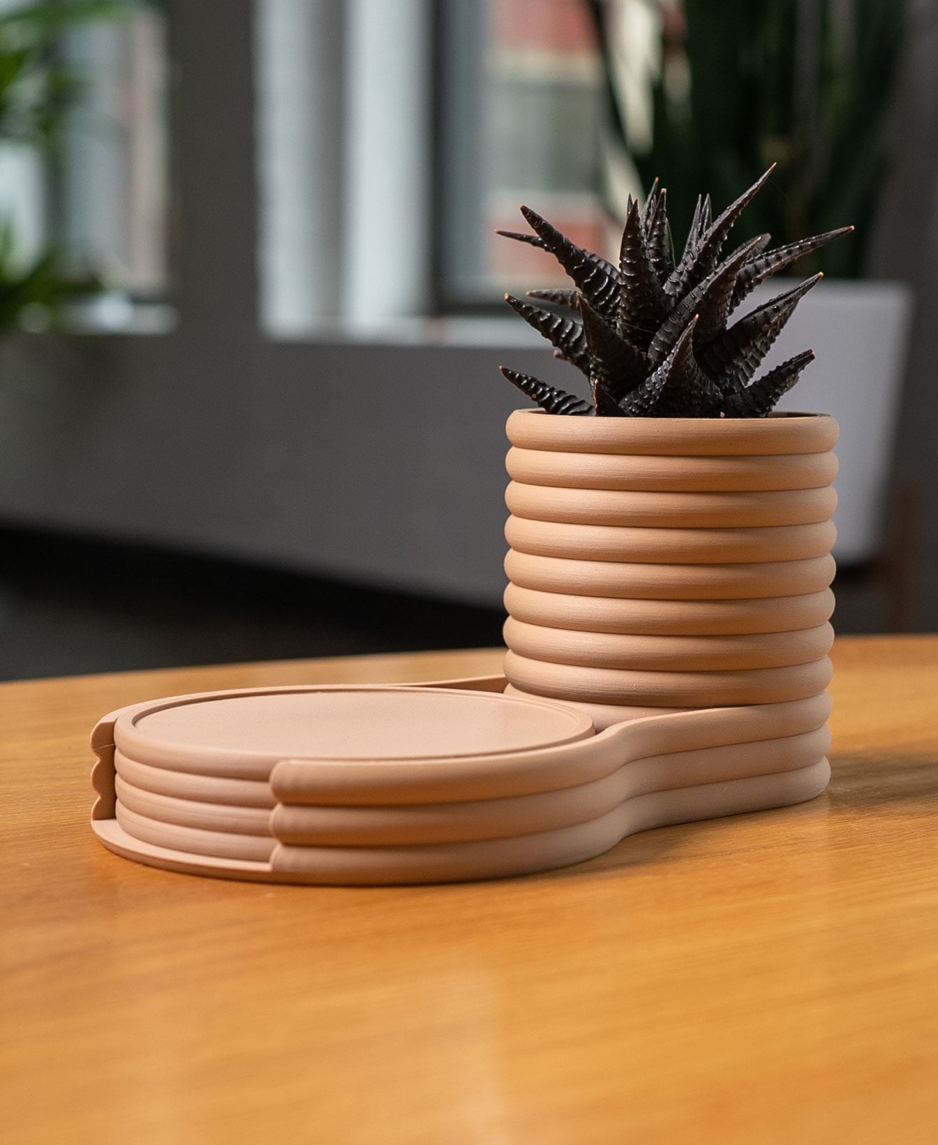 Coaster Planter 3d model
