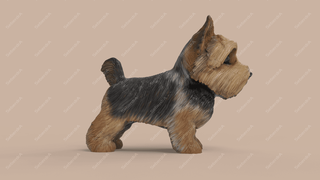 Cute Yorkshire Terrier 3d model