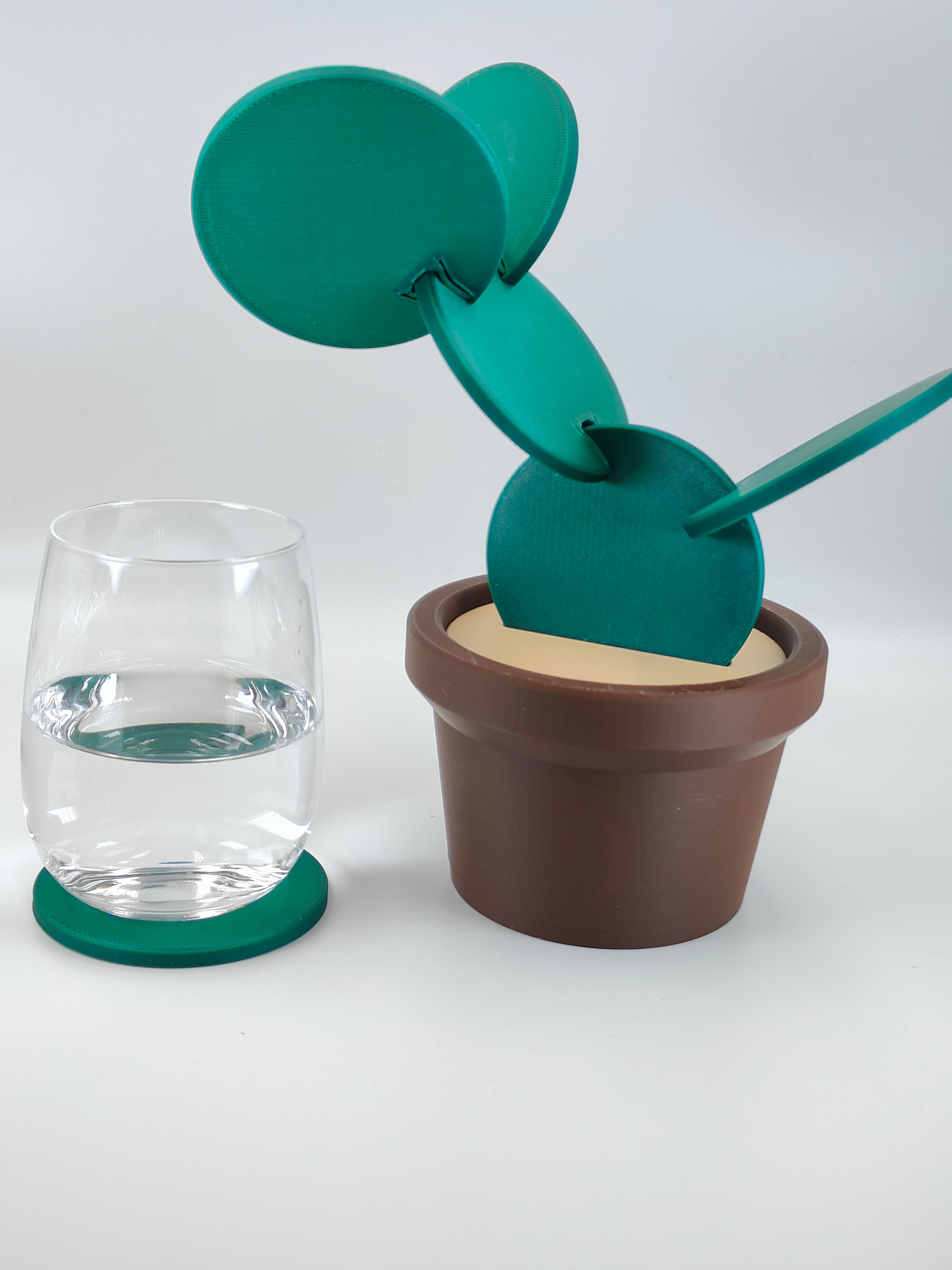 Cactus Coasters Set 🌵 3d model