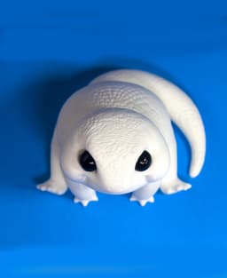 Free Albino Gecko 3d model