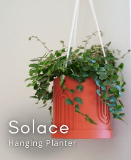 Solace Hanging Planter 3d model