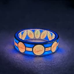 Pomegranate Enamel Ring Base 3d model