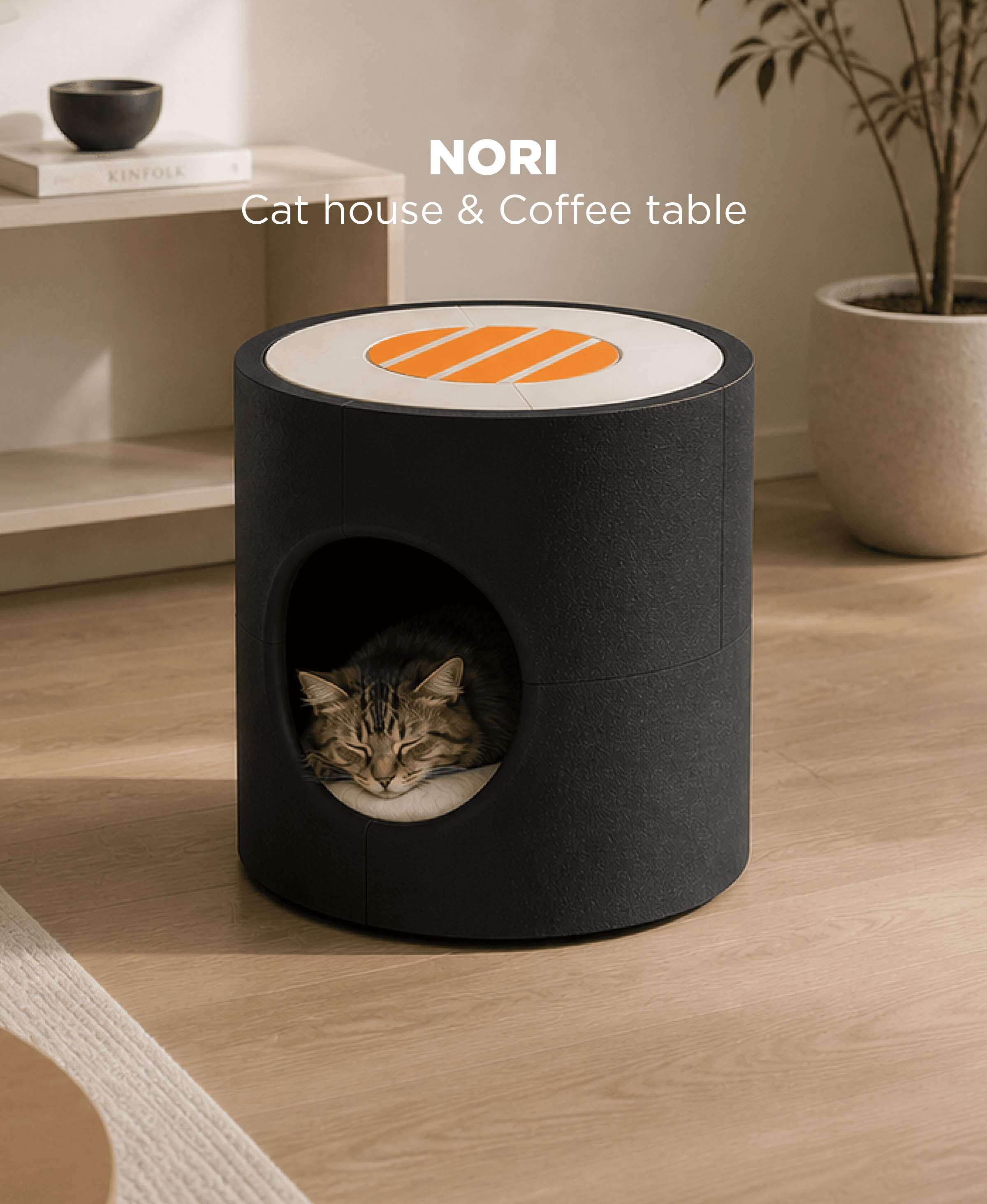 Nori, Cat house and Coffee Table. 3d model