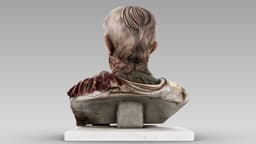 Julius Caesar 3d model