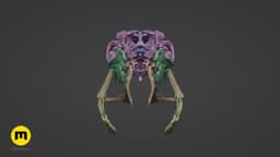 Boiga Snake Skull Dispholidus Typus 3d model