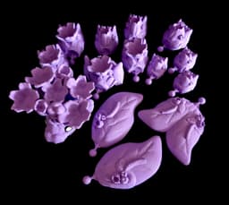 Bloomara The Spring Dragon B.A.D (Commercial Use) 3d model