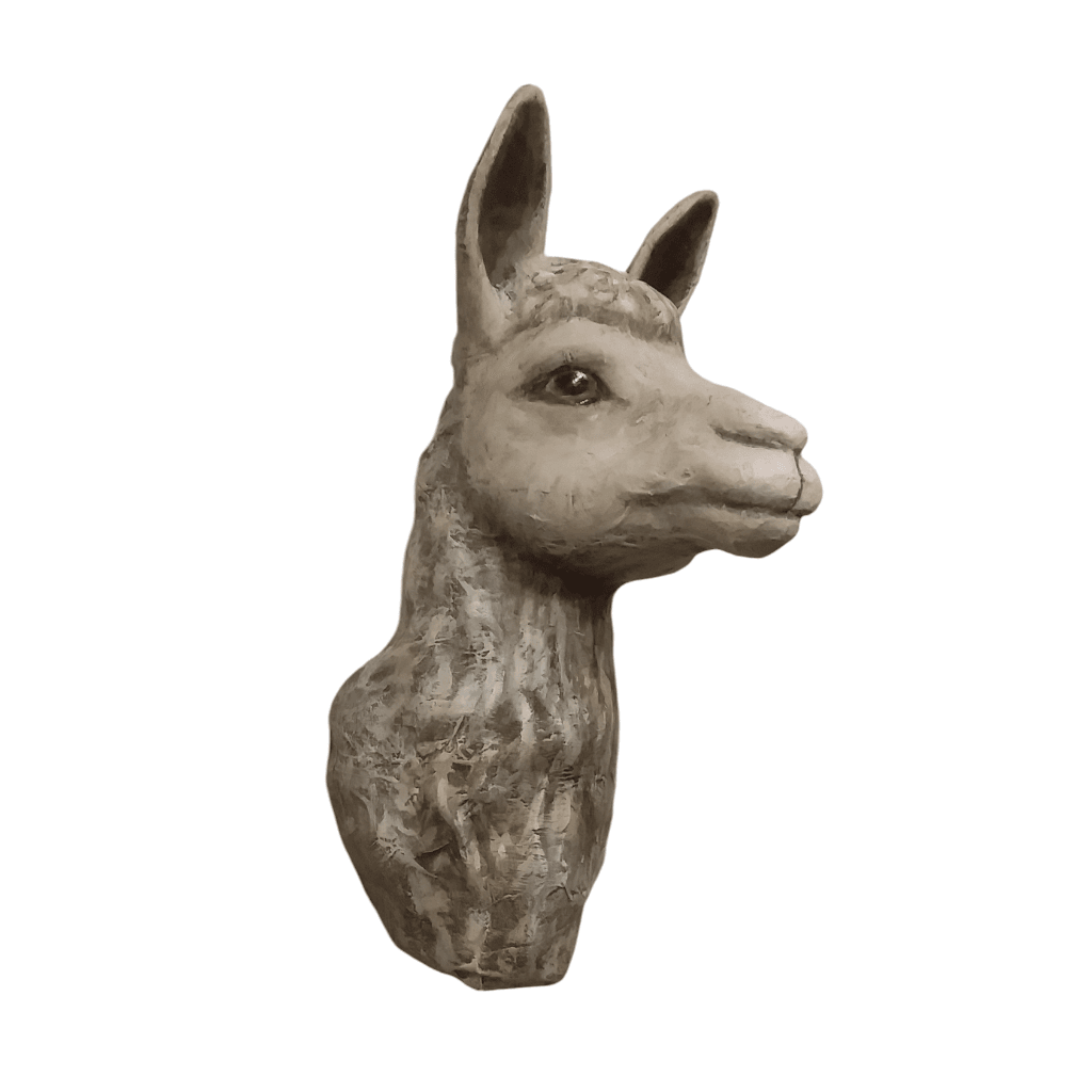 Alpaca Head 3d model