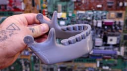 Jaw.stl 3d model