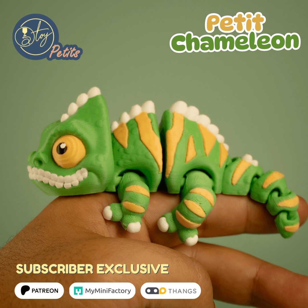 Petit Chameleon 3d model