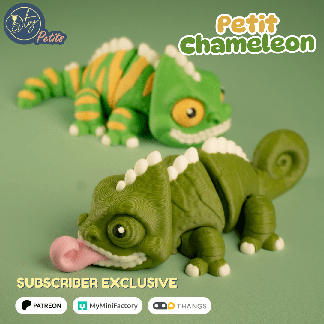 Petit Chameleon 3d model