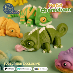 Petit Chameleon 3d model