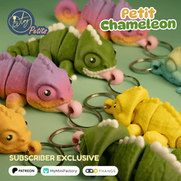 Petit Chameleon 3d model