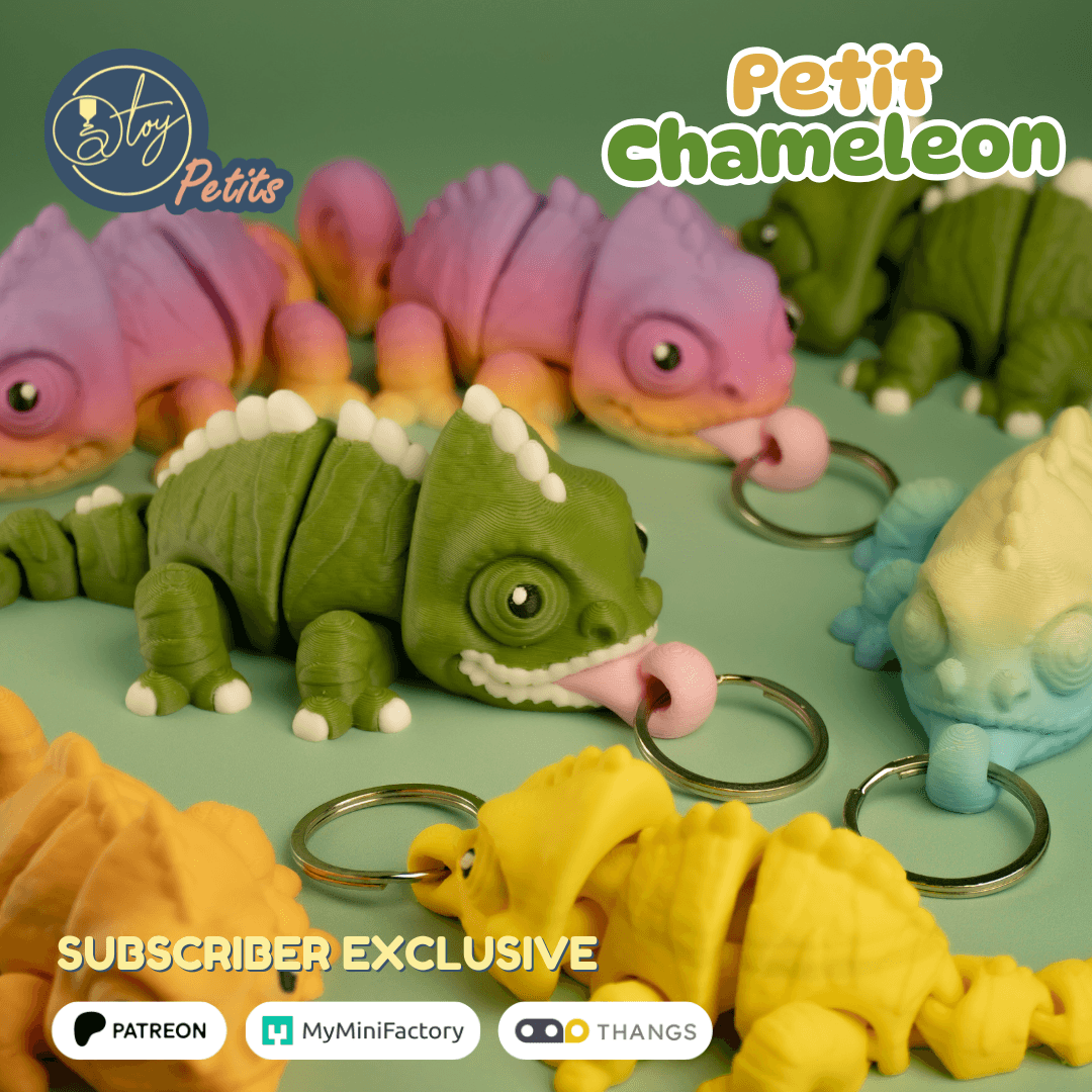 Petit Chameleon 3d model