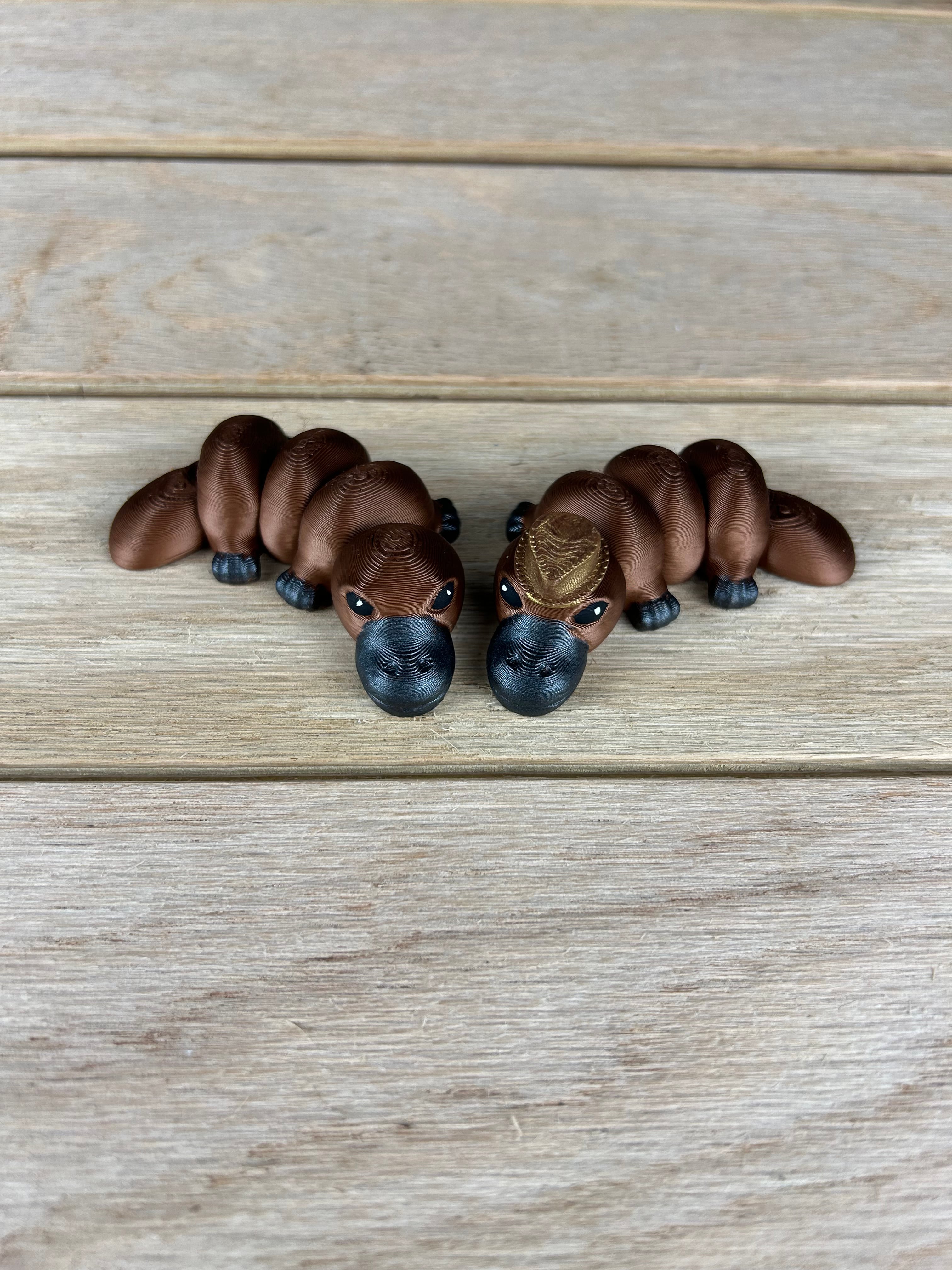 Platypus Fidget V3 3d model