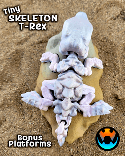 Tiny Skeleton T-Rex 3d model