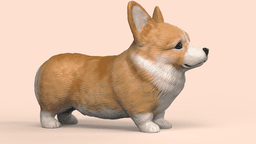 Cute Corgi 3d model