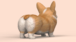 Cute Corgi 3d model