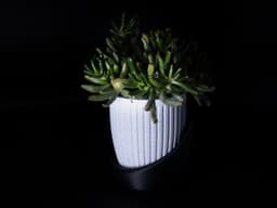 Doric Flower Vase Planter by JDL 3d model