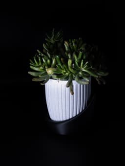 Doric Flower Vase Planter by JDL 3d model
