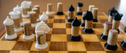 Wine Cork Chess Set 3d model