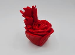 Twist Rose Fidget 3d model