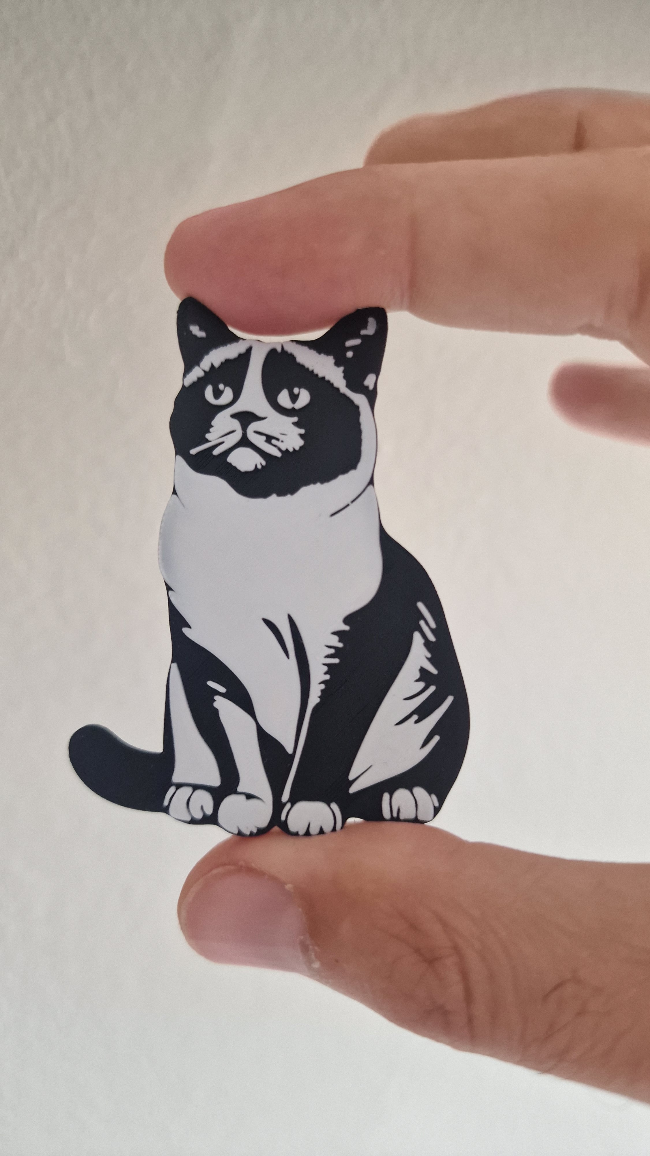 Snowshoe keychain+magnet 3d model