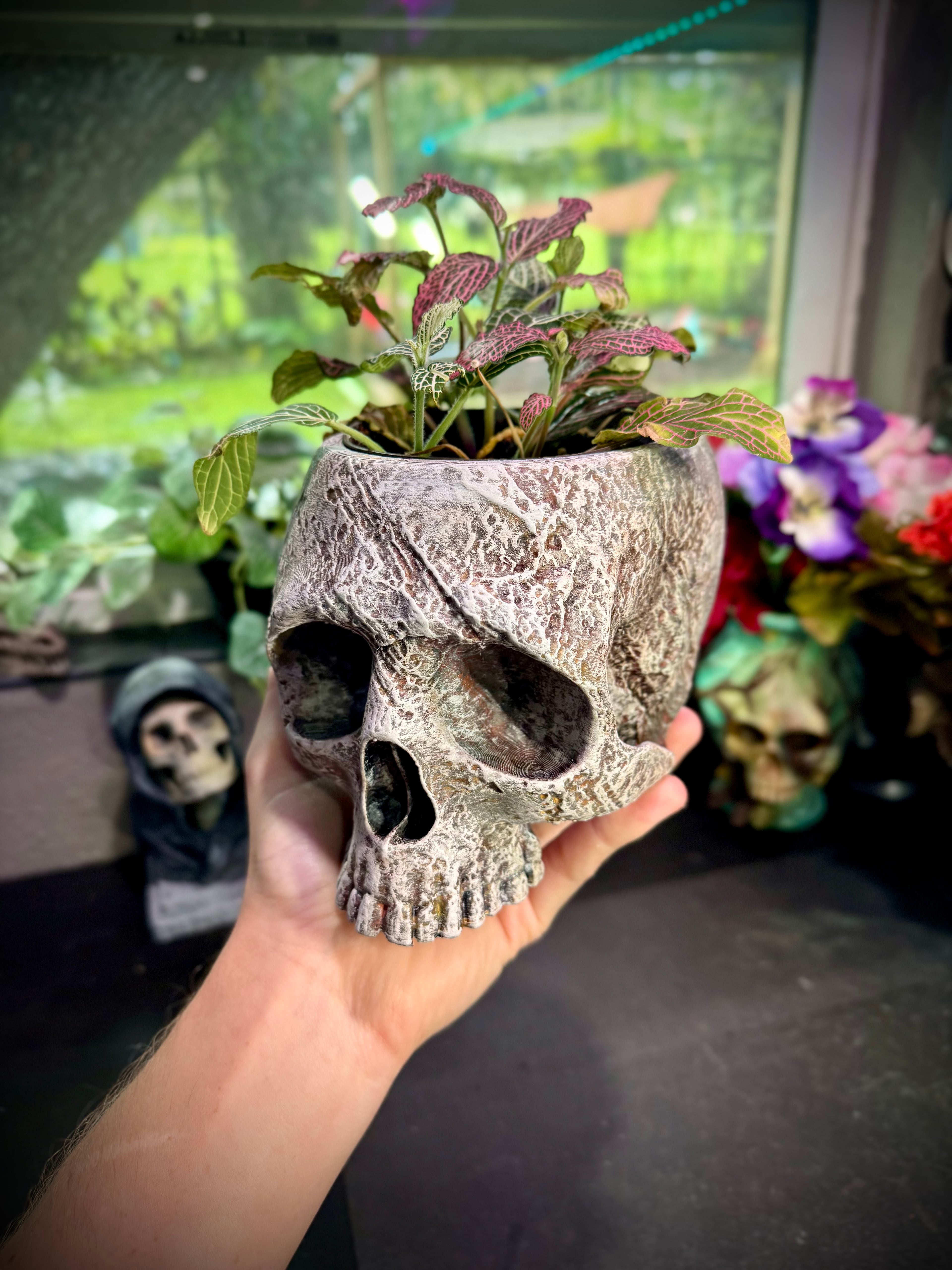 Stone skull planter 3d model