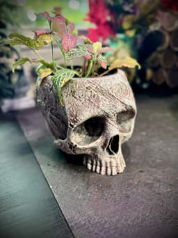 Stone skull planter 3d model