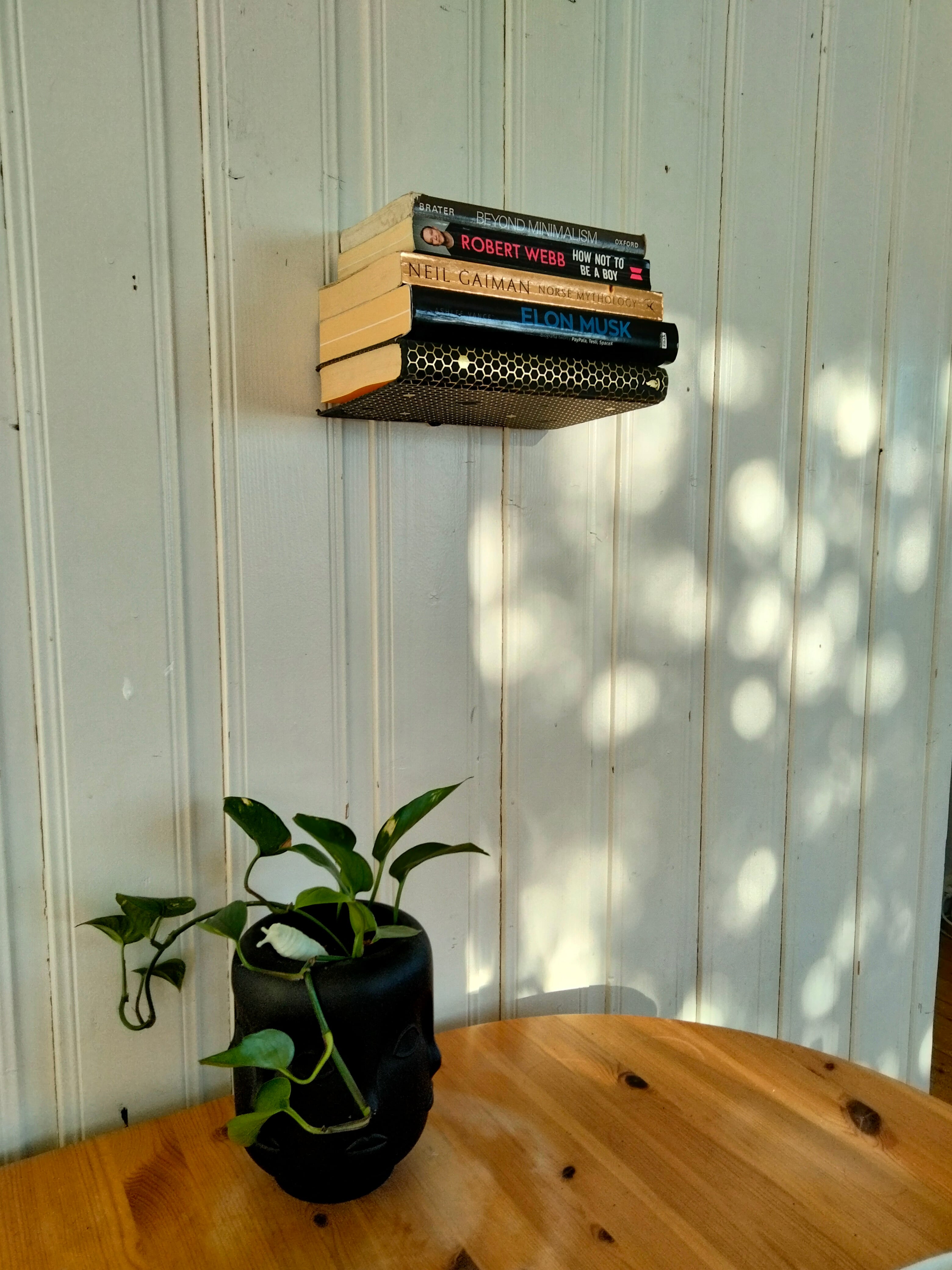 Floating Book Shelf Illusion 3d model