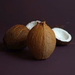 Coconut bowls 3d model