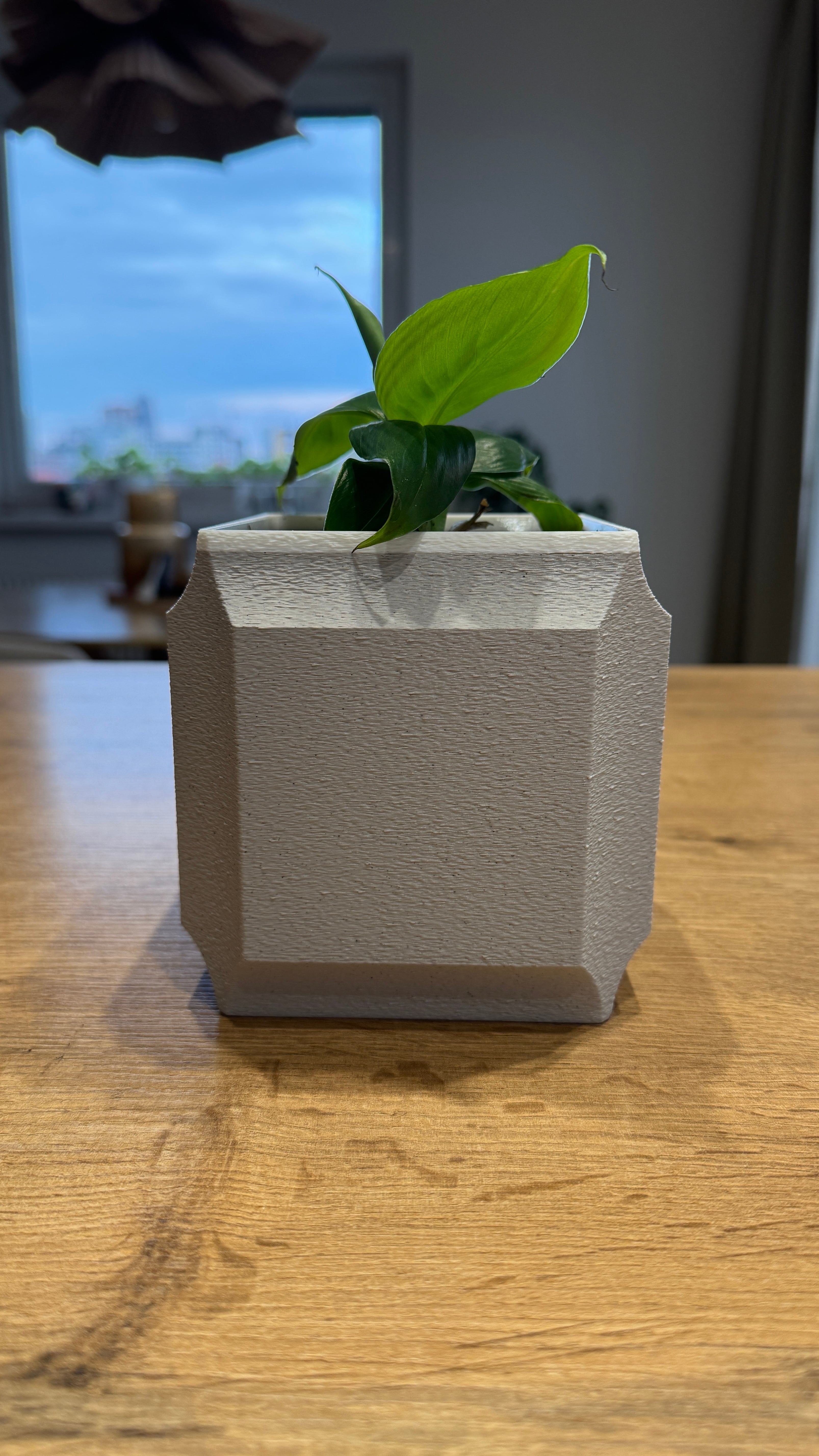 Cubic planter 3d model