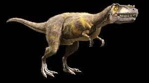 alioramus 3d model