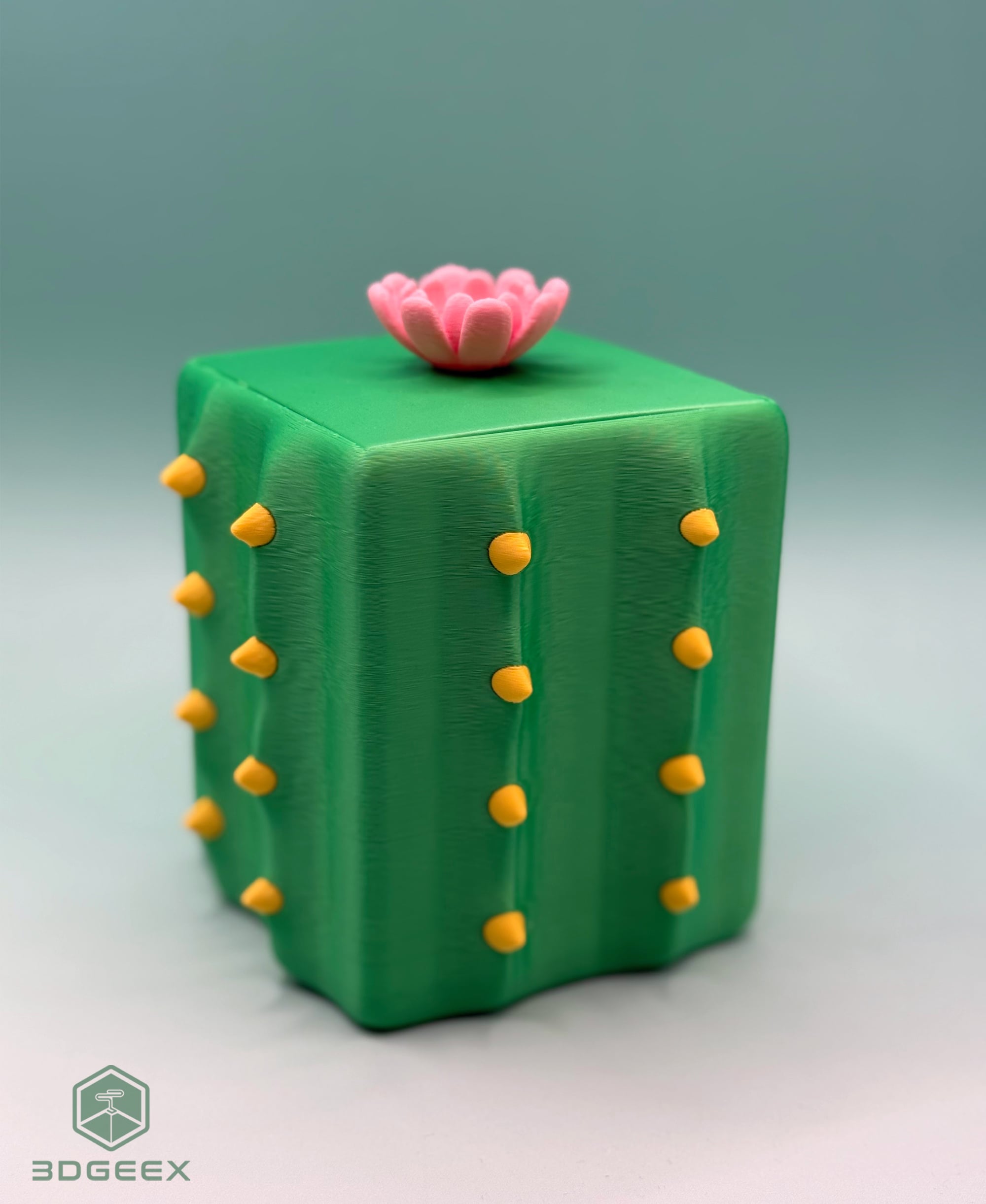 Cactus Box & Utensils Drainer 3d model