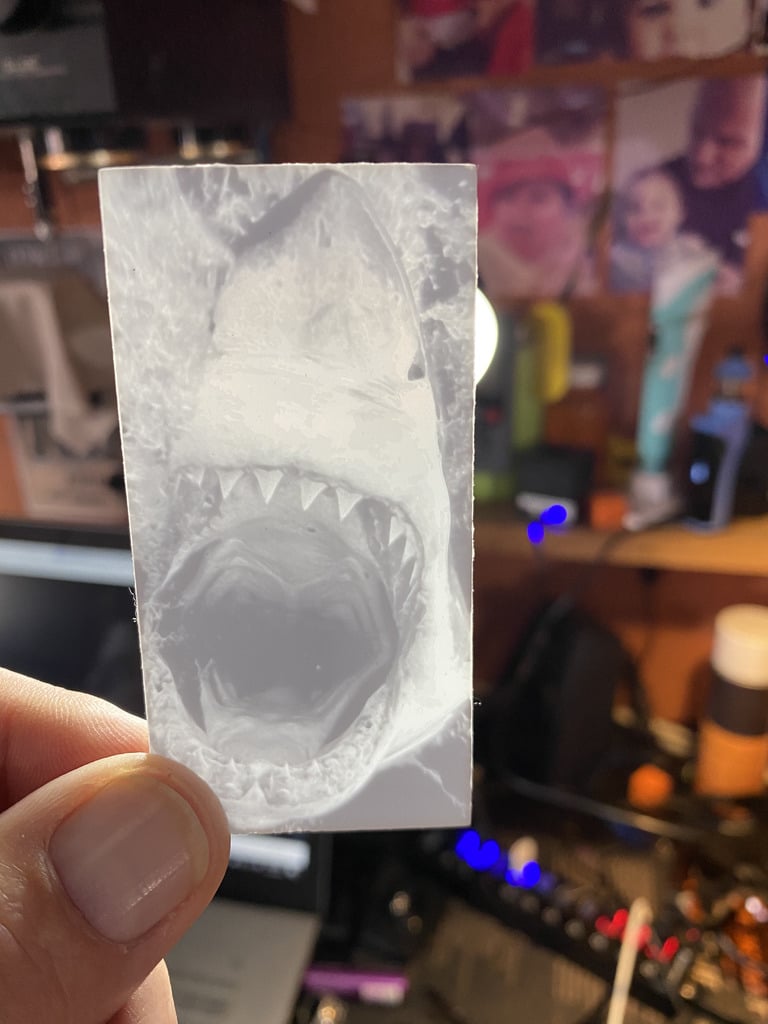 Great White Lithophane 3d model