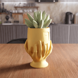 Face Silhouette Emotion Planter / Vase Statue 3d model