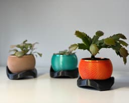 Wavy flowerpots 3d model