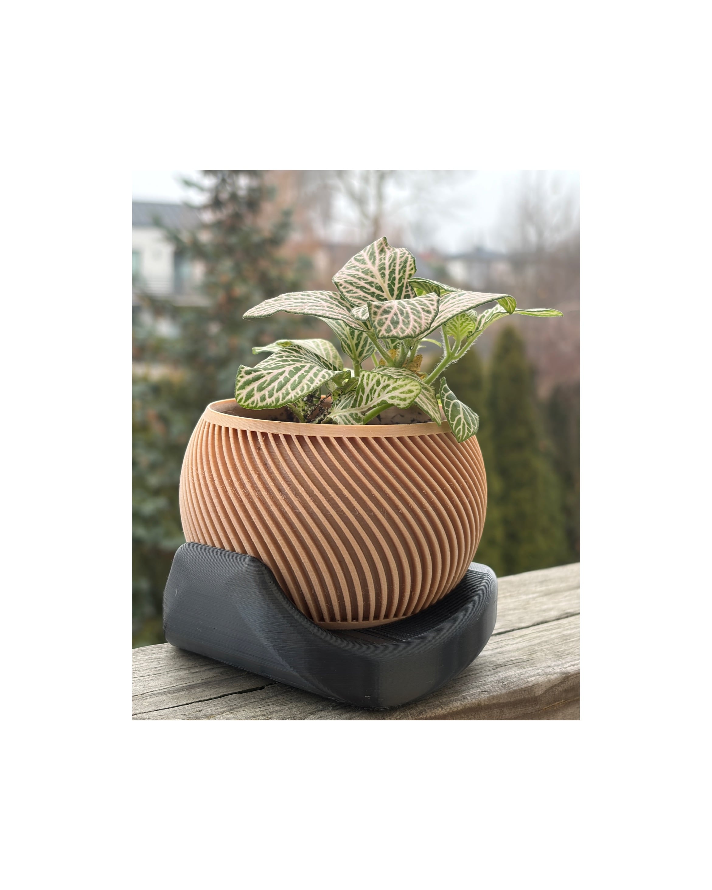 Wavy flowerpots 3d model