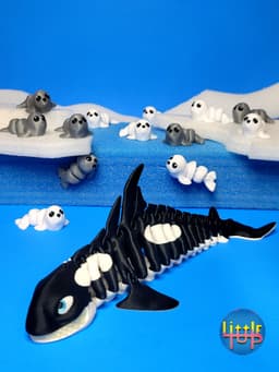 Killer Whale 3d model