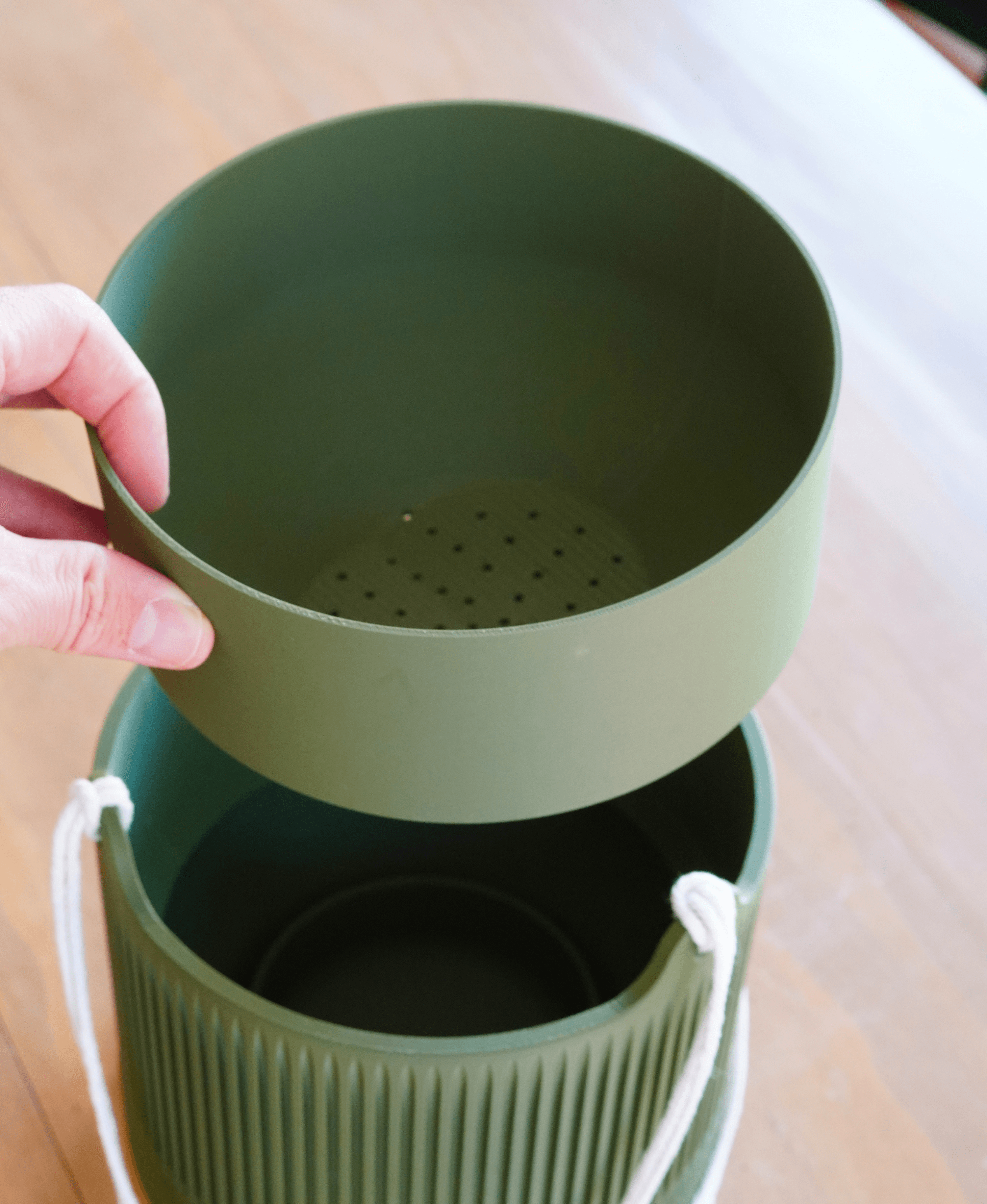 Taro Hanging Planter 3d model