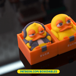 Duck - Boxedables 3d model