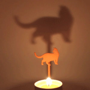 Animal Cat Walk 3d model
