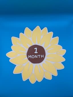 Sunflower Baby Milestone 3d model