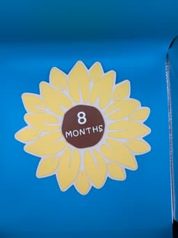 Sunflower Baby Milestone 3d model