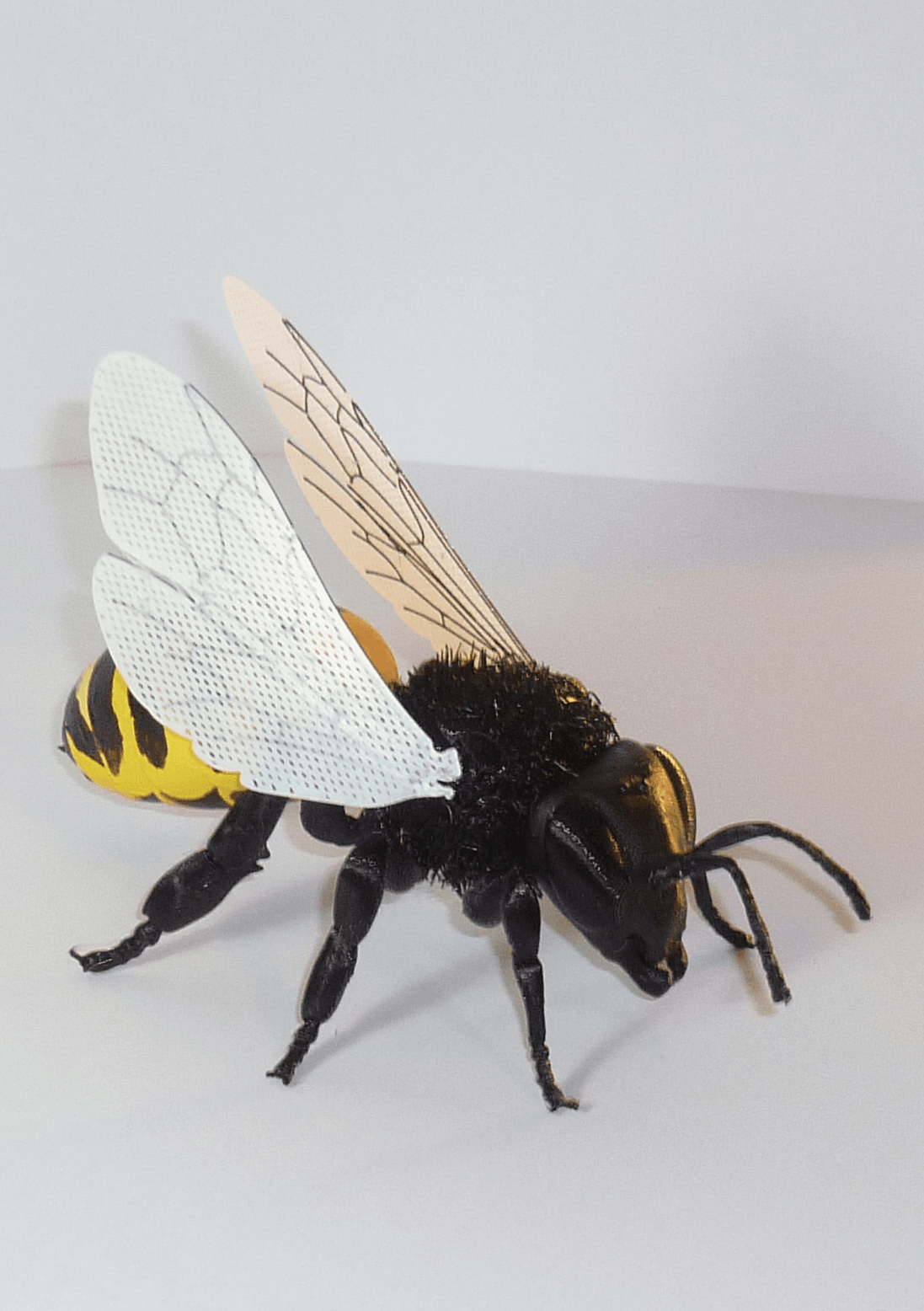 Hairify Honey Bee 3d model