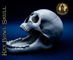 Key Bowl Skull (Pre Supported) 3d model