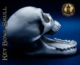 Key Bowl Skull (Pre Supported) 3d model