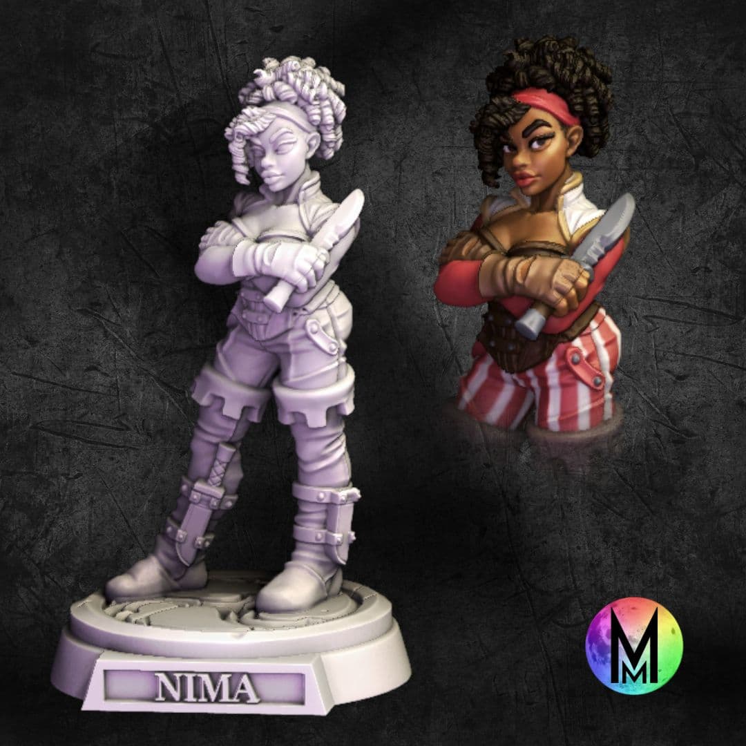 Female Rogue - Nima the Nightstalker ( Female PoC Rogue ) 3d model