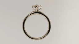 Ring 3d model